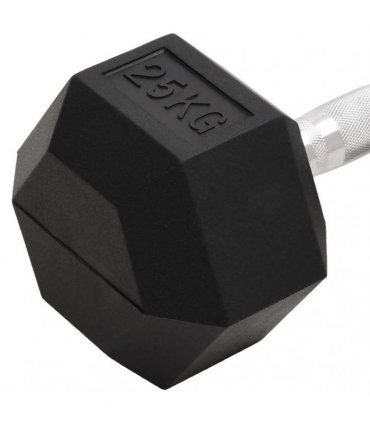 vidaXL Dumbbell 25 kg Cast Iron