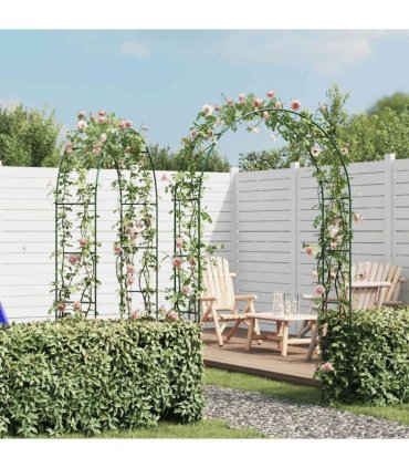 Garden Arch 2 pcs Climbing Plants
