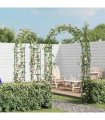 Garden Arch 2 pcs Climbing Plants