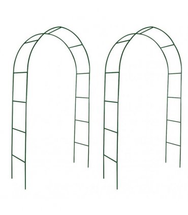 Garden Arch 2 pcs Climbing Plants