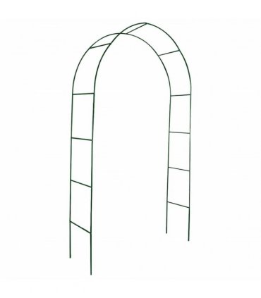 Garden Arch 2 pcs Climbing Plants