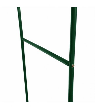 Garden Arch 2 pcs Climbing Plants