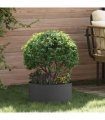 vidaXL Planter Ring 5 pcs Black 40 x 40 x 20 cm Cold-rolled Steel