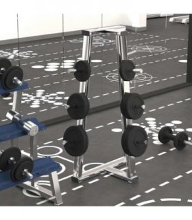 vidaXL Weight Plates 6 pcs 30 kg Cast Iron