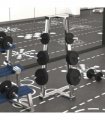 vidaXL Weight Plates 6 pcs 30 kg Cast Iron