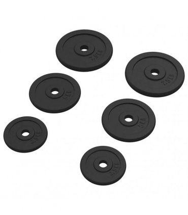 vidaXL Weight Plates 6 pcs 30 kg Cast Iron