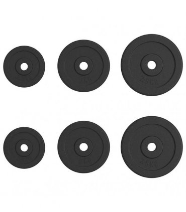 vidaXL Weight Plates 6 pcs 30 kg Cast Iron