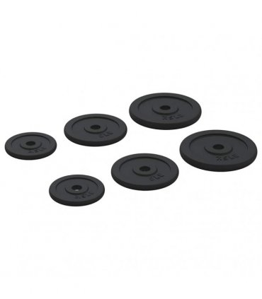 vidaXL Weight Plates 6 pcs 30 kg Cast Iron