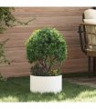 vidaXL Planter Ring White 30 x 30 x 20 cm Cold-rolled Steel