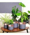 vidaXL Copper Tape for Snail Protection 6 pcs Copper 70 mm x 20 m