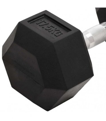 vidaXL Dumbbell 17.5 kg Cast Iron