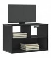 vidaXL TV Cabinet Black 60x31x39.5 cm Engineered Wood and Metal