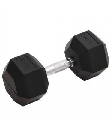 vidaXL Dumbbell 27.5 kg Cast Iron