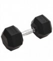 vidaXL Dumbbell 27.5 kg Cast Iron