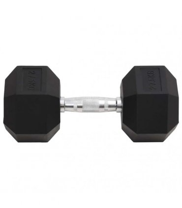 vidaXL Dumbbell 27.5 kg Cast Iron