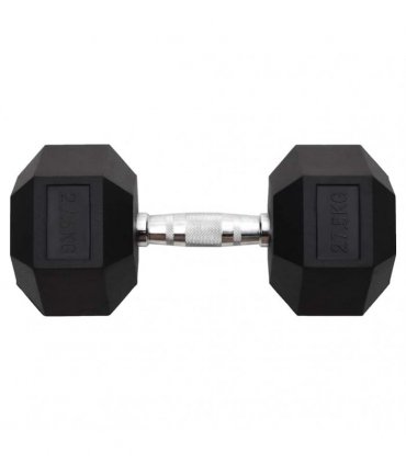 vidaXL Dumbbell 27.5 kg Cast Iron