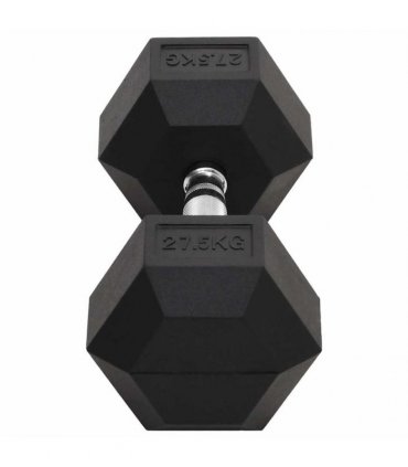 vidaXL Dumbbell 27.5 kg Cast Iron