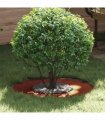 vidaXL suitable for Flat Tree Rings 5 pcs Brown Ø30 / 60 cm