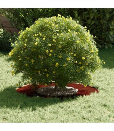 vidaXL suitable for Flat Tree Rings 5 pcs Brown Ø30 / 60 cm
