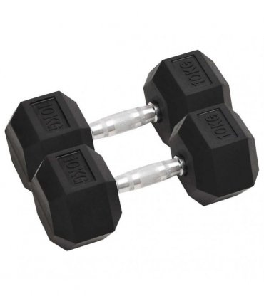vidaXL Dumbbells 2 pcs 20 kg Total Cast Iron