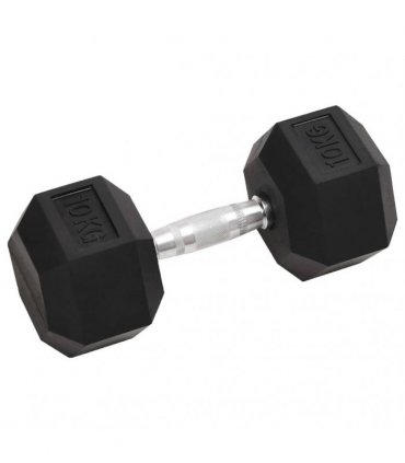 vidaXL Dumbbells 2 pcs 20 kg Total Cast Iron