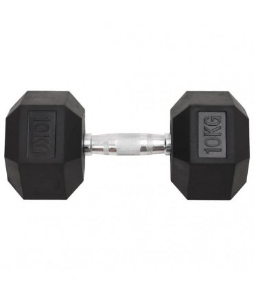 vidaXL Dumbbells 2 pcs 20 kg Total Cast Iron