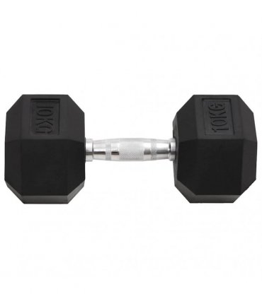 vidaXL Dumbbells 2 pcs 20 kg Total Cast Iron