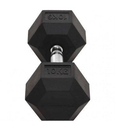 vidaXL Dumbbells 2 pcs 20 kg Total Cast Iron
