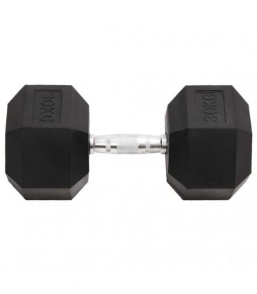 vidaXL Dumbbell 30 kg Cast Iron