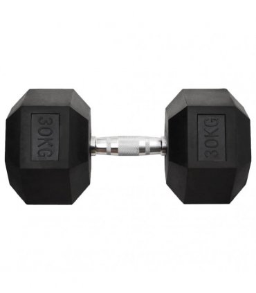 vidaXL Dumbbell 30 kg Cast Iron