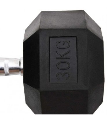 vidaXL Dumbbell 30 kg Cast Iron