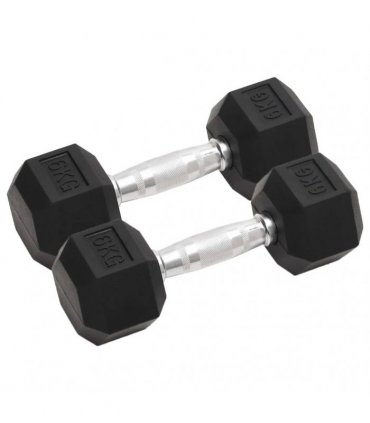 vidaXL Dumbbells 2 pcs 12 kg Total Cast Iron