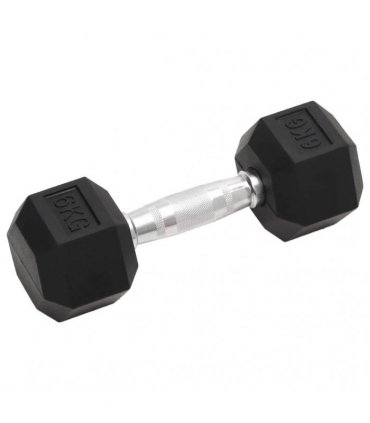 vidaXL Dumbbells 2 pcs 12 kg Total Cast Iron