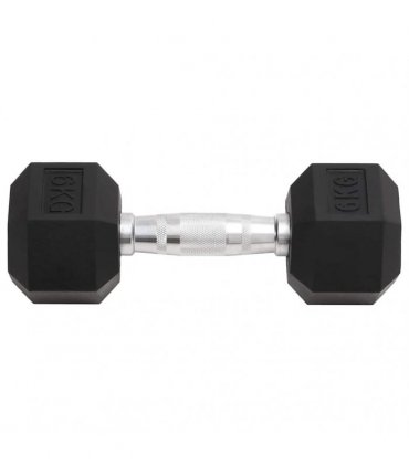 vidaXL Dumbbells 2 pcs 12 kg Total Cast Iron
