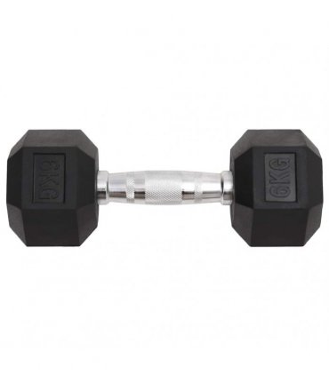 vidaXL Dumbbells 2 pcs 12 kg Total Cast Iron