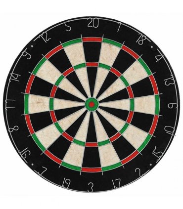 vidaXL Professional Dart Set with Dartboard and Surround Sisal Steel