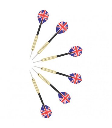 vidaXL Professional Dart Set with Dartboard and Surround Sisal Steel
