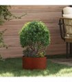 vidaXL Planter Ring Brown 30 x 30 x 20 cm Weathering Steel