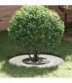 vidaXL suitable for Flat Tree Rings 5 pcs White Ø30 / 60 cm Steel
