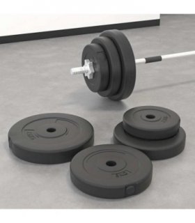 vidaXL Weight Plates 6 pcs 30 kg Cement