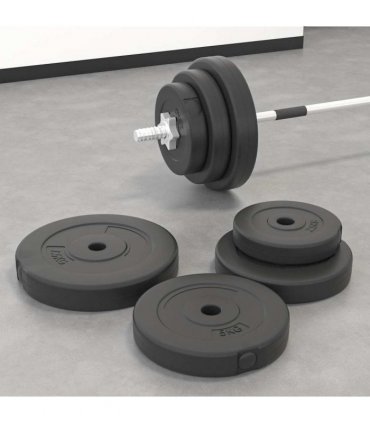 vidaXL Weight Plates 6 pcs 30 kg Cement
