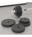 vidaXL Weight Plates 6 pcs 30 kg Cement