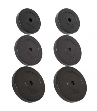 vidaXL Weight Plates 6 pcs 30 kg Cement