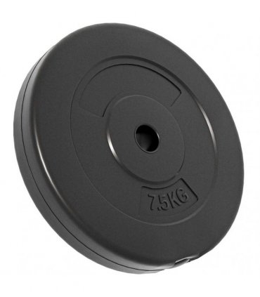 vidaXL Weight Plates 6 pcs 30 kg Cement