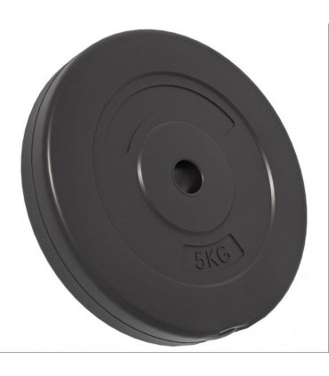 vidaXL Weight Plates 6 pcs 30 kg Cement