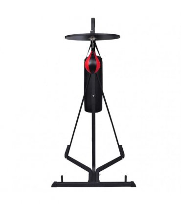 Box Stand 2 Way