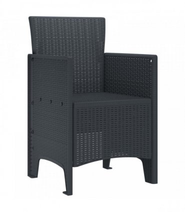 vidaXL Garden Chair 2 pcs Anthracite 53 x 49 x 85 cm Polypropylene