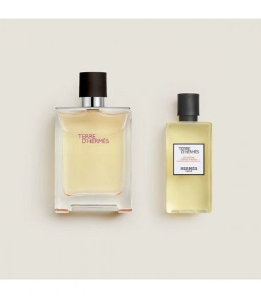 Hermès Terre dHermès Gift Set (Eau De Toilette 100ml  Shower Gel 80ml)