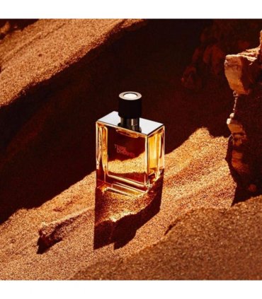 Hermes Terre D'hermes Eau de Toilette Spray 50ml