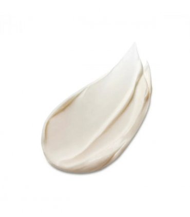 Estee Lauder Advanced Night Overnight Treatment Mask 65ml